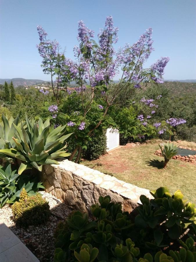 Casa Do Monte Βίλα Silves Εξωτερικό φωτογραφία